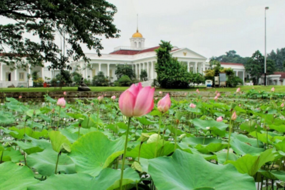 Detail Gambar Kebun Raya Bogor Nomer 15