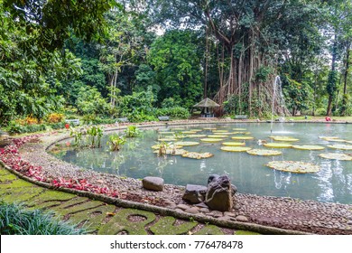 Detail Gambar Kebun Raya Bogor Nomer 42