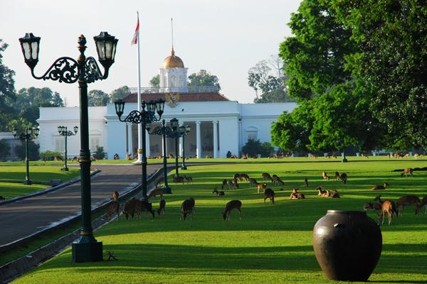 Detail Gambar Kebun Raya Bogor Nomer 8