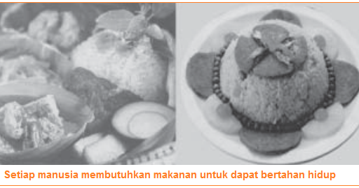 Detail Gambar Kebutuhan Primer Makanan Nomer 49