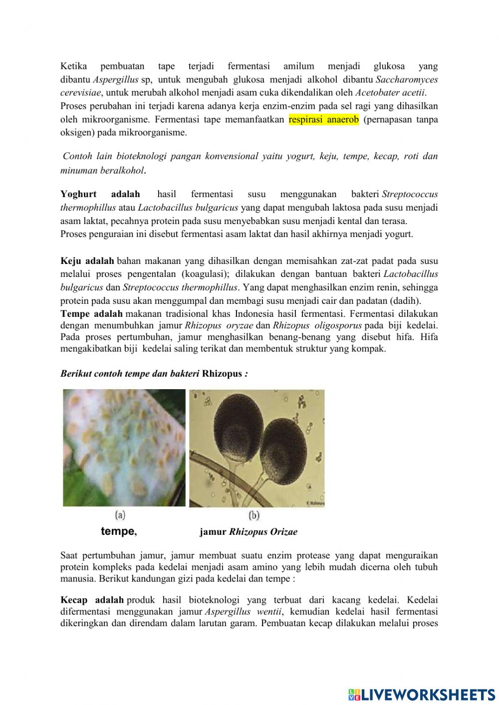 Detail Gambar Kecap Mikroganisme Nomer 48