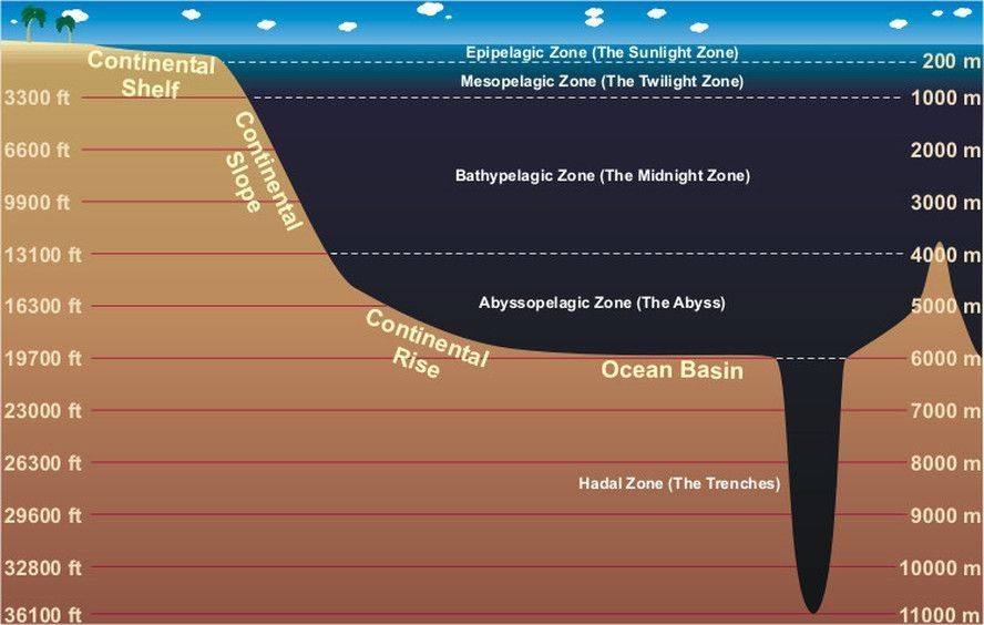 Detail Gambar Kedalaman Laut Nomer 4