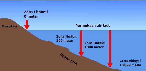 Detail Gambar Kedalaman Laut Nomer 31