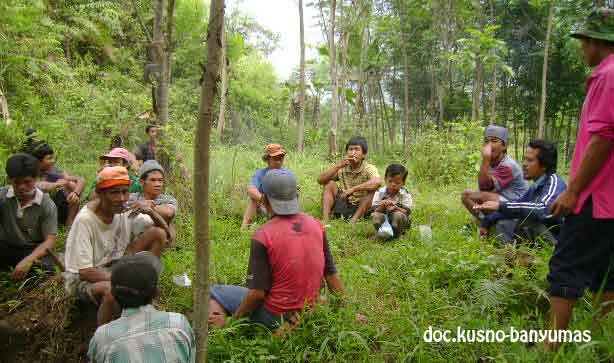 Detail Gambar Kegiatan Di Bidang Kehutanan Nomer 9