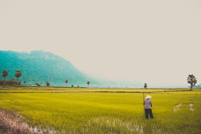 Detail Gambar Kegiatan Di Bidang Kehutanan Nomer 29