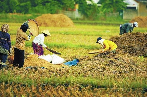 Detail Gambar Kegiatan Ekonomi Di Pegunangan Nomer 16