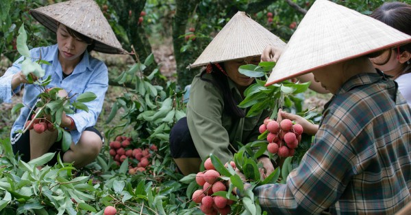 Detail Gambar Kegiatan Ekonomi Produksi Nomer 37