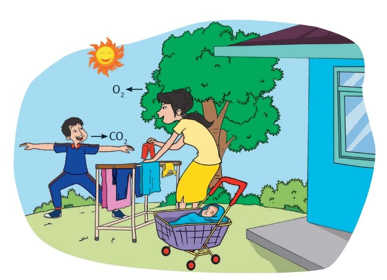 Detail Gambar Kegiatan Sehari Hari Nomer 27