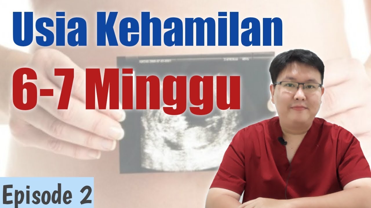 Detail Gambar Kehamilan 11 Minggu Nomer 37