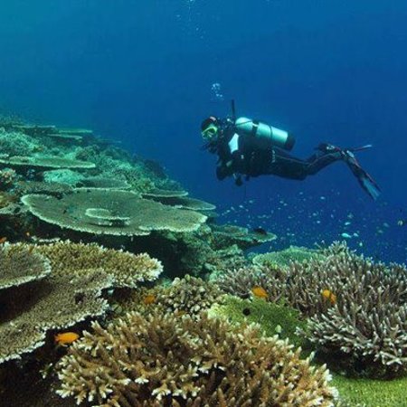 Detail Gambar Keindahan Dalam Laut Nomer 45