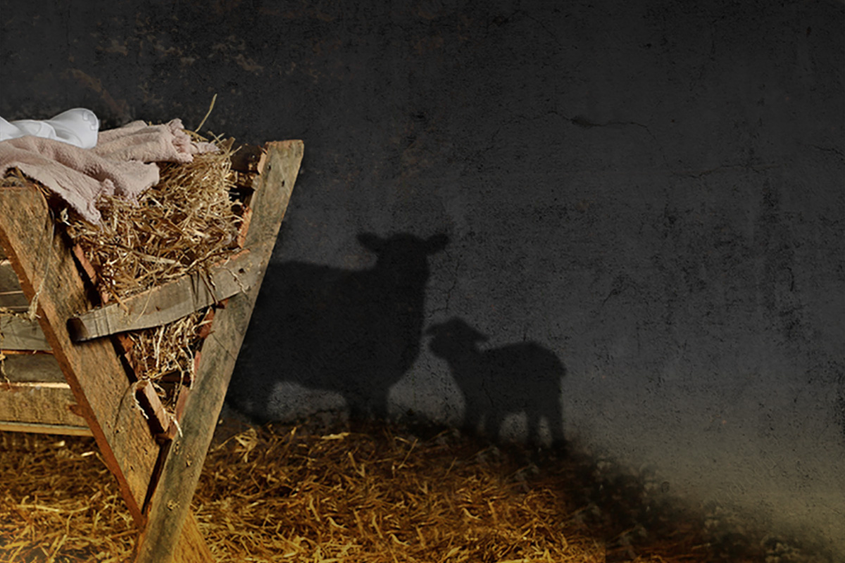 Detail Gambar Kelahiran Yesus Di Kandang Domba Nomer 18