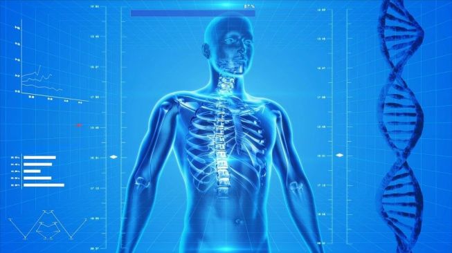 Detail Gambar Kelainan Tulang Osteoporosis Nomer 33