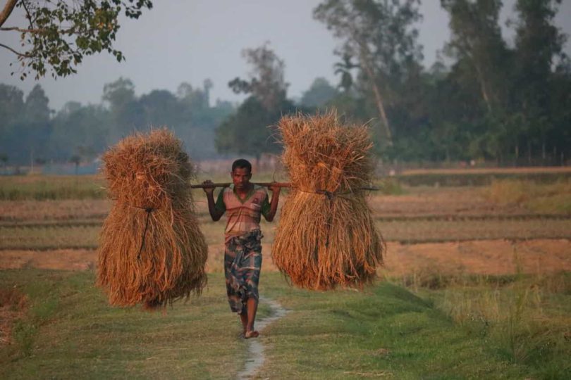 Detail Gambar Kelangkaan Sumber Daya Aalam Di Indonesia Nomer 24