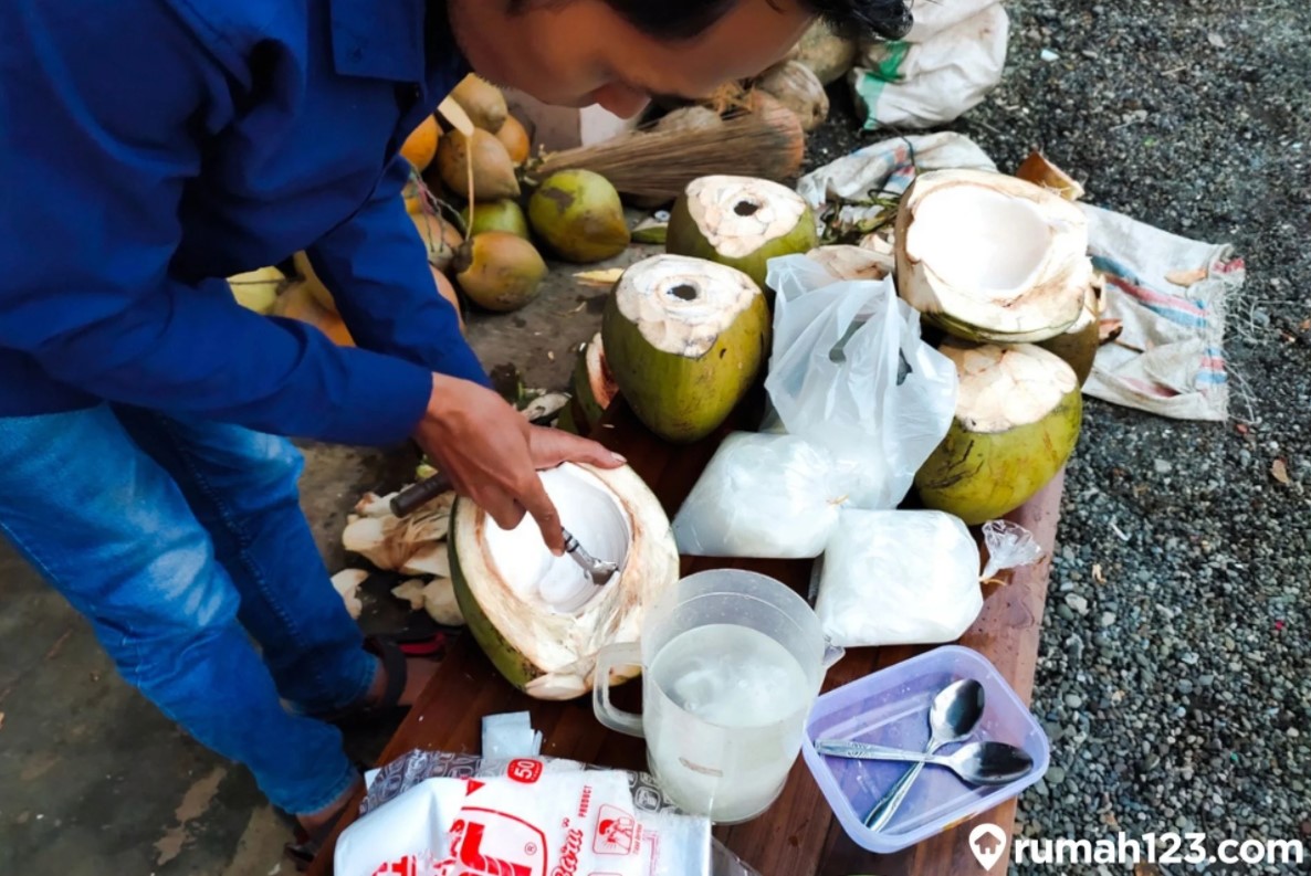 Detail Gambar Kelapa Hijau Nomer 34