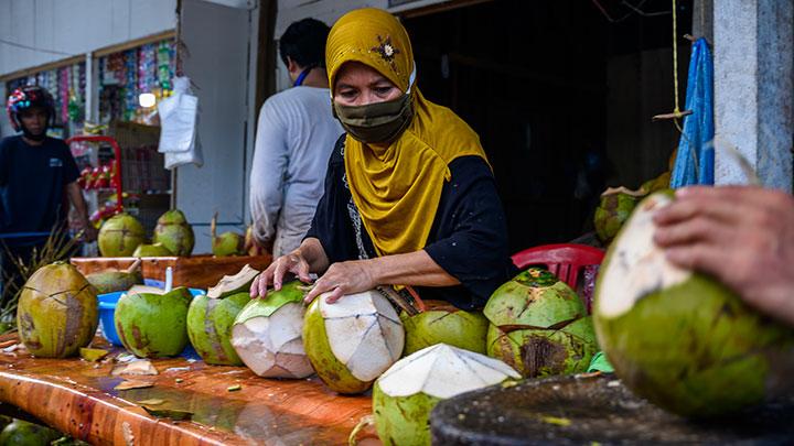 Detail Gambar Kelapa Hijau Nomer 35