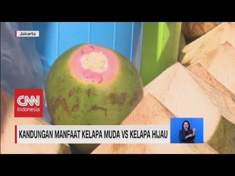 Detail Gambar Kelapa Hijau Nomer 51