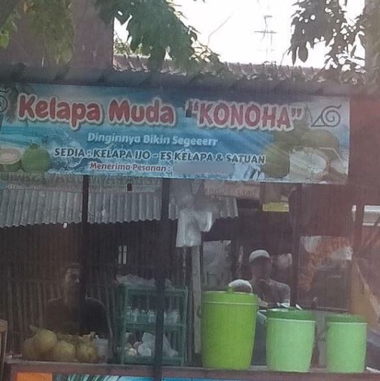 Detail Gambar Kelapa Muda Lucu Nomer 23