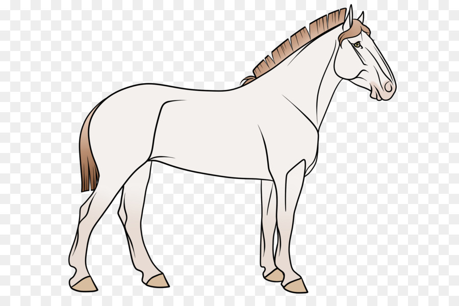 Detail Gambar Keledai Dan Kuda Nomer 26