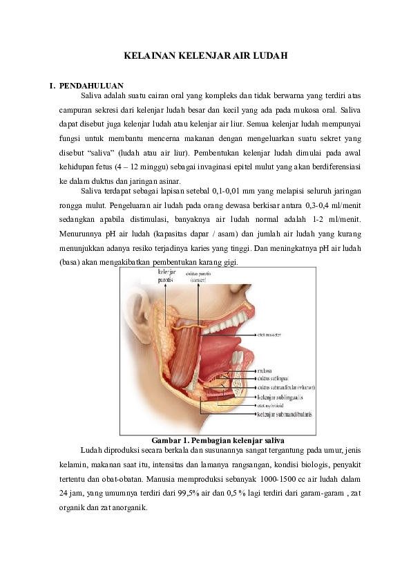 Detail Gambar Kelenjar Ludah Nomer 44