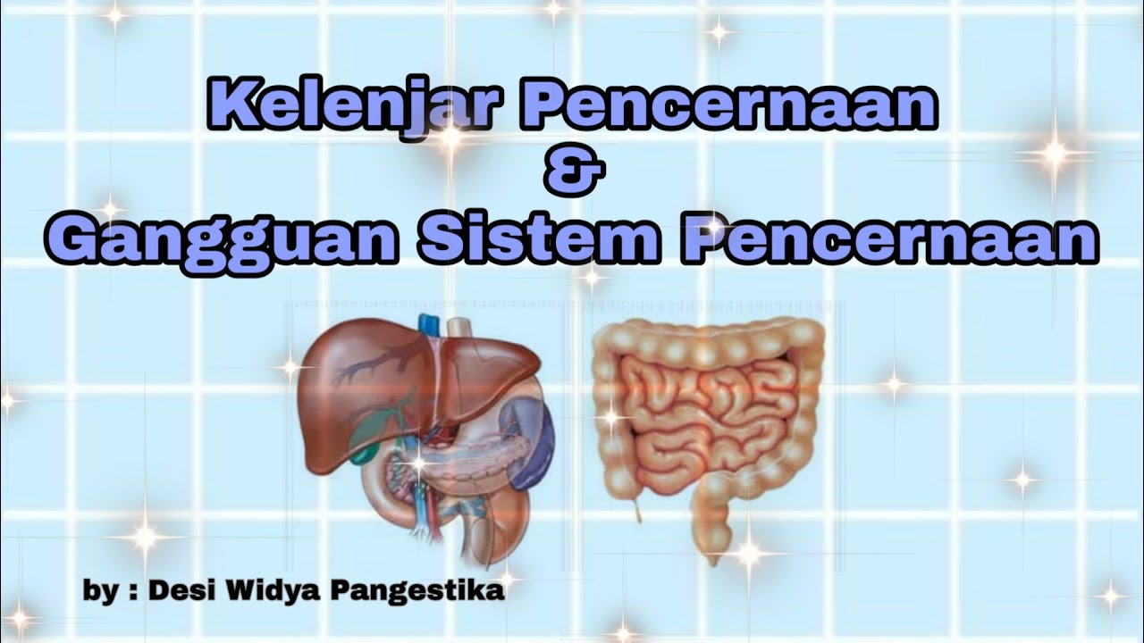 Detail Gambar Kelenjar Pencernaan Nomer 15