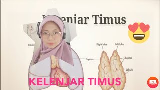 Detail Gambar Kelenjar Timus Nomer 30