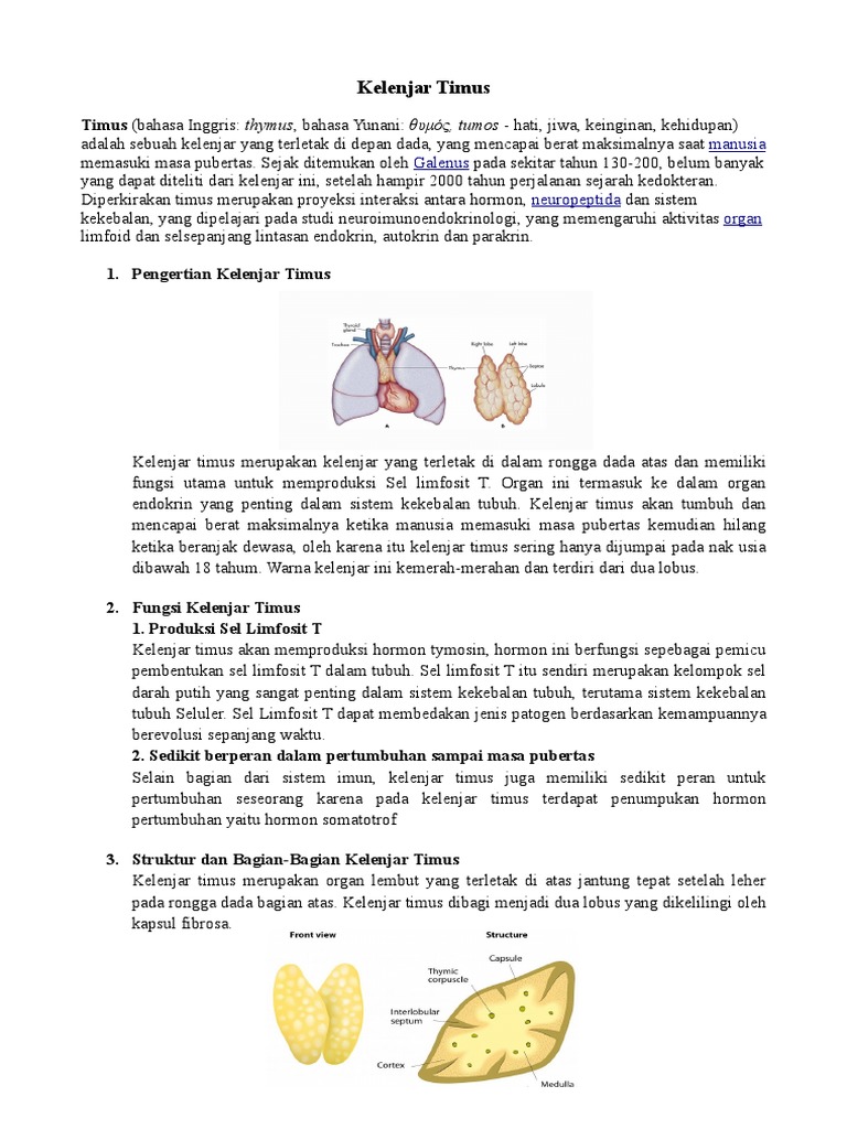 Detail Gambar Kelenjar Timus Nomer 47