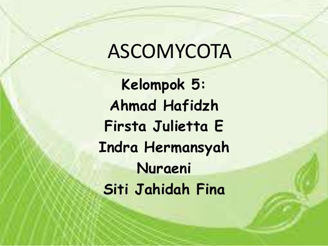 Detail Gambar Kelompok Ascomycotina Nomer 34