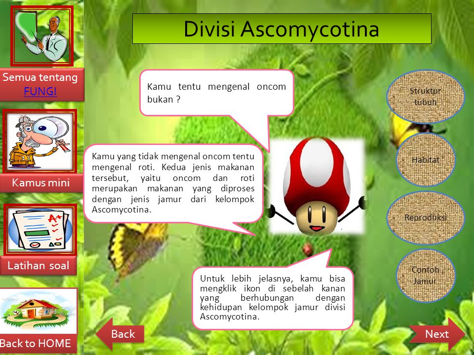 Detail Gambar Kelompok Ascomycotina Nomer 41