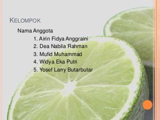 Detail Gambar Kelompok Jeruk Nomer 44