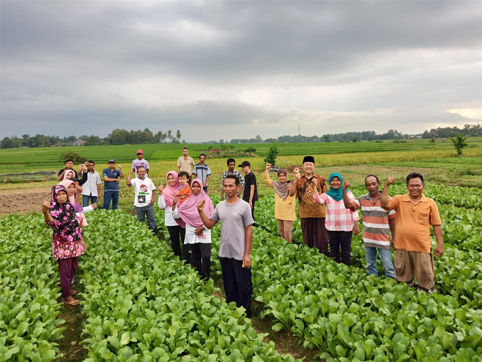 Gambar Kelompok Pertanian Gambar Kelompok Brlajar - KibrisPDR