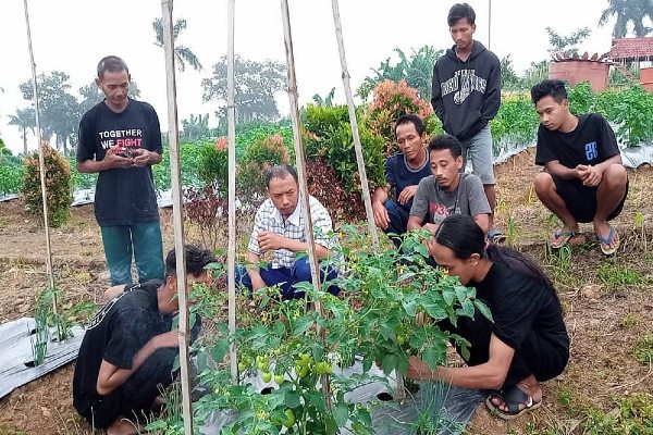 Detail Gambar Kelompok Pertanian Gambar Kelompok Brlajar Nomer 42