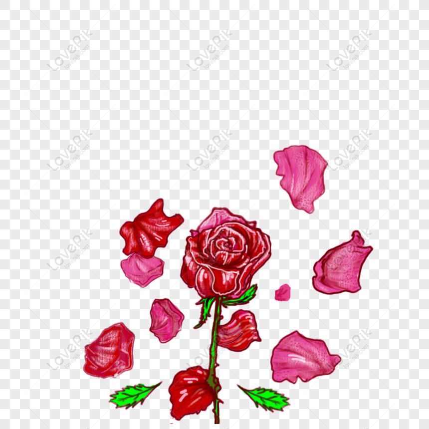 Detail Gambar Kelopak Bunga Mawar Jatuh Nomer 10
