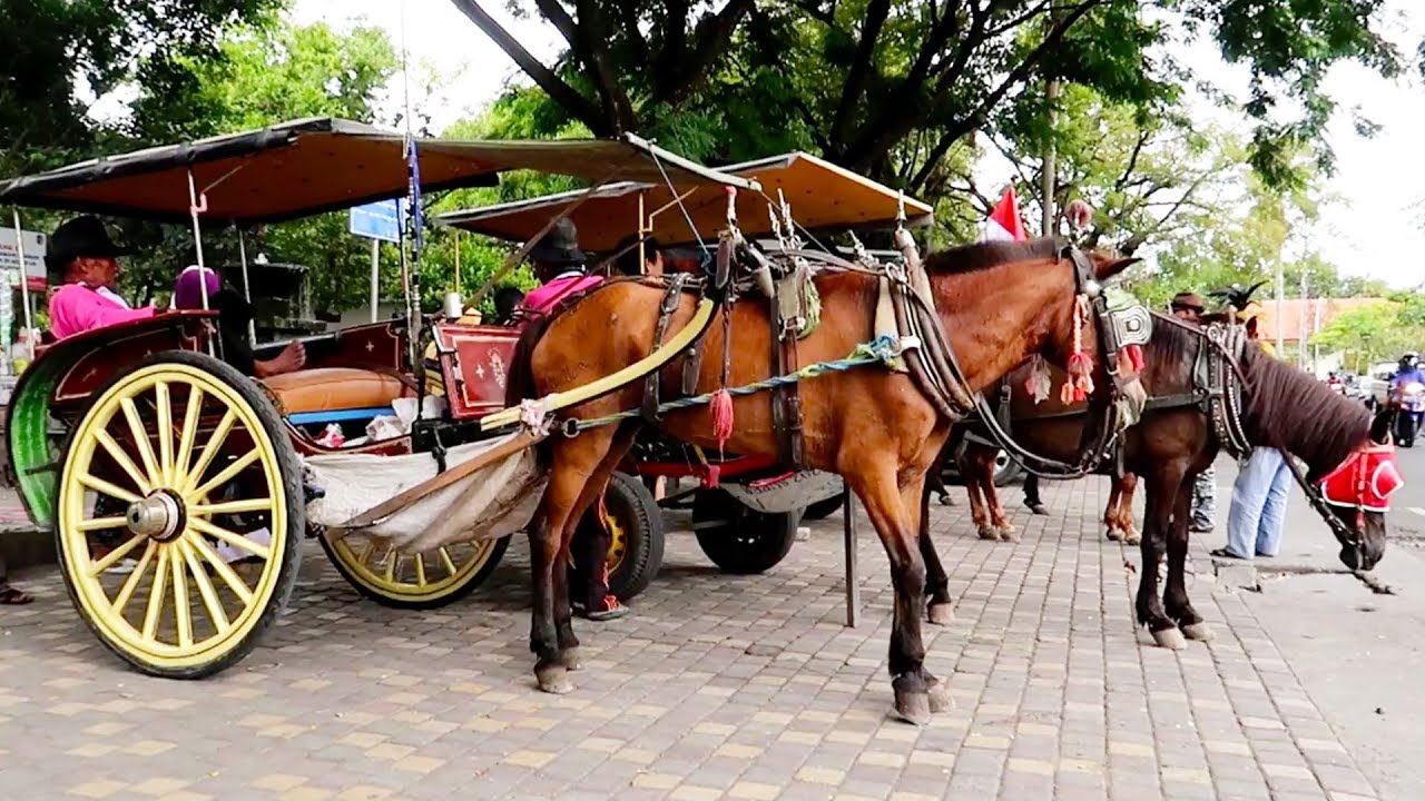 Detail Gambar Kendaraan Darat Gambar Kendaraan Darat Yg Anak Anak Nomer 51