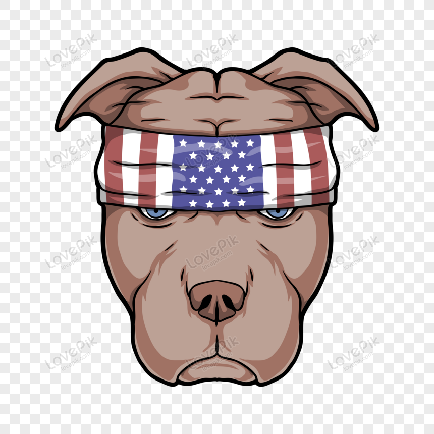 Detail Gambar Kepala Anjing Pitbull Nomer 5