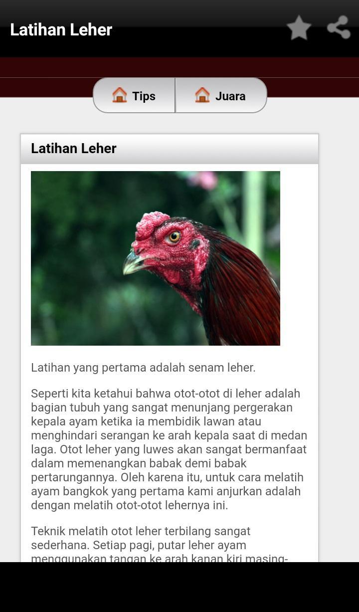 Detail Gambar Kepala Ayam 2 Dimensi Nomer 21