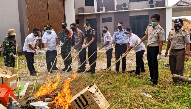 Detail Gambar Kepala Ayam Keluar Dari Celana Nomer 48