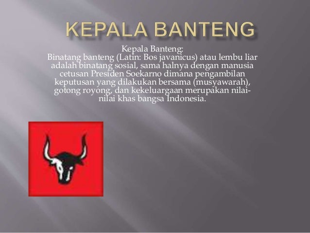 Detail Gambar Kepala Banteng Pancasila Nomer 41