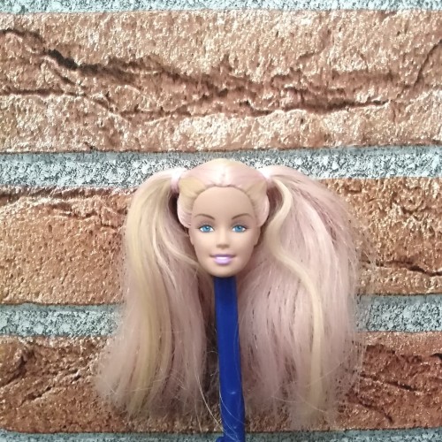 Detail Gambar Kepala Barbie Nomer 47