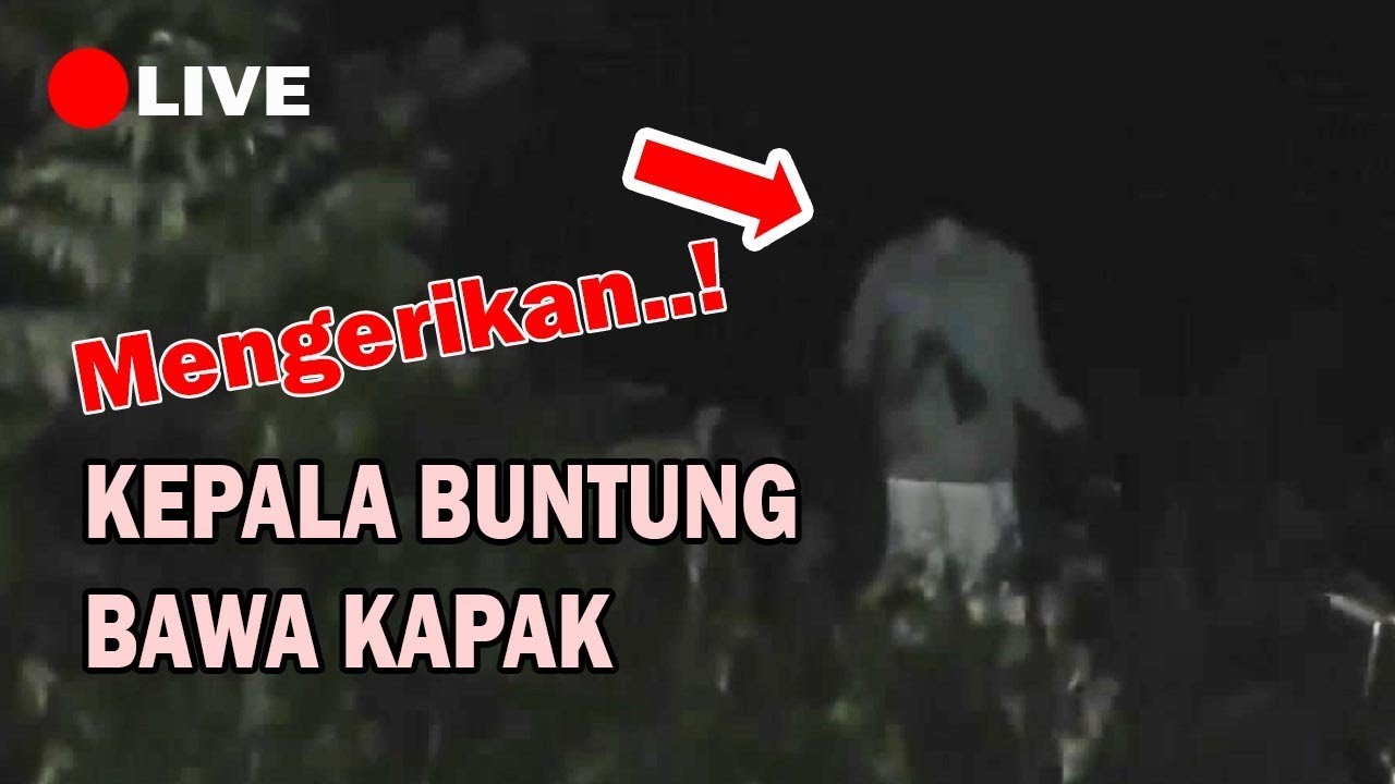 Detail Gambar Kepala Buntung Nomer 33