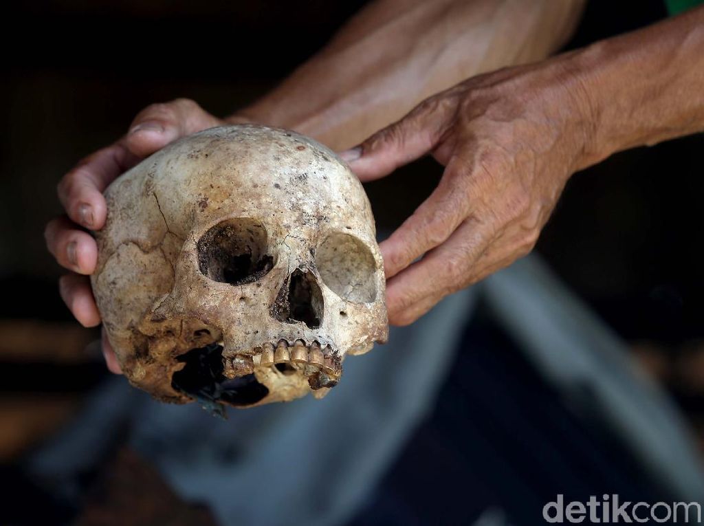 Detail Gambar Kepala Dayak Nomer 21