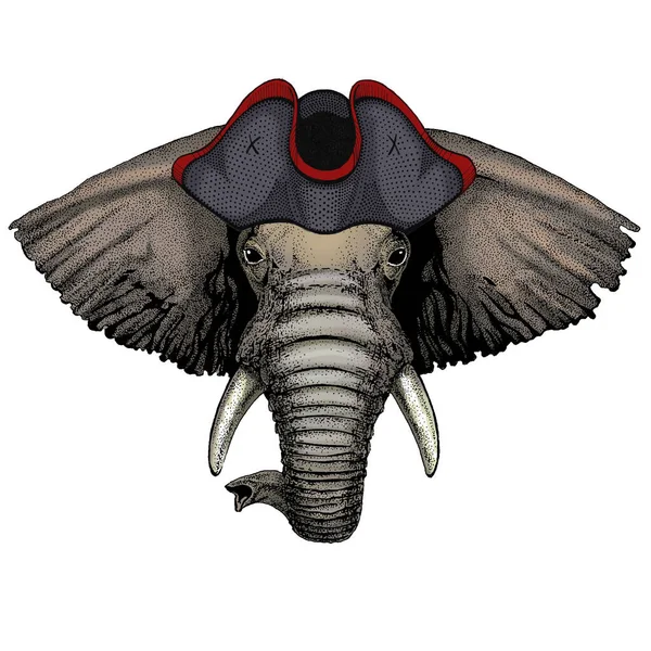 Detail Gambar Kepala Gajah Nomer 42