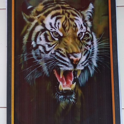 Detail Gambar Kepala Harimau Nomer 41