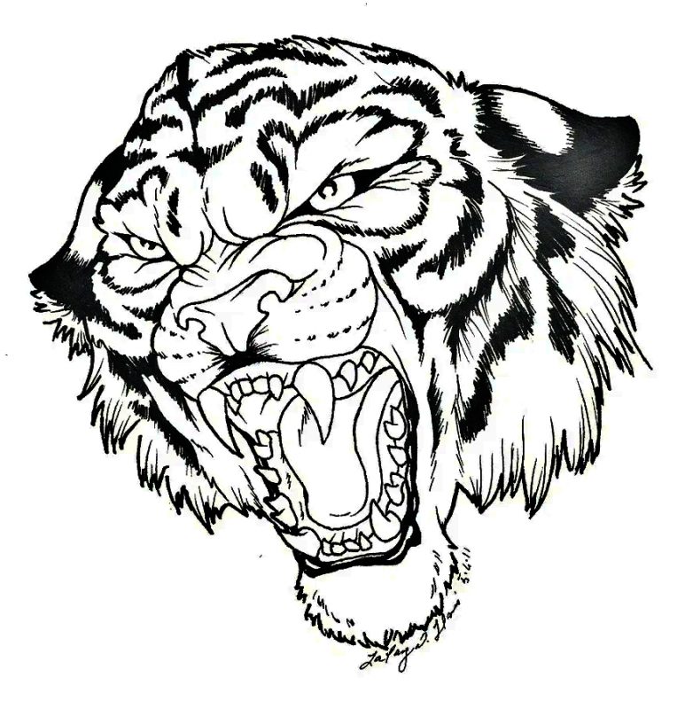 Detail Gambar Kepala Harimau Keren Nomer 10