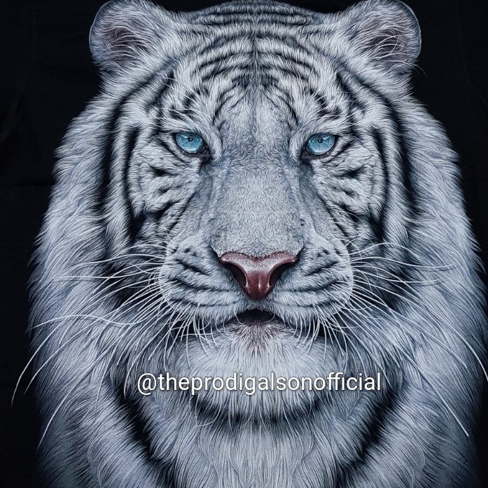 Detail Gambar Kepala Harimau Putih Nomer 5