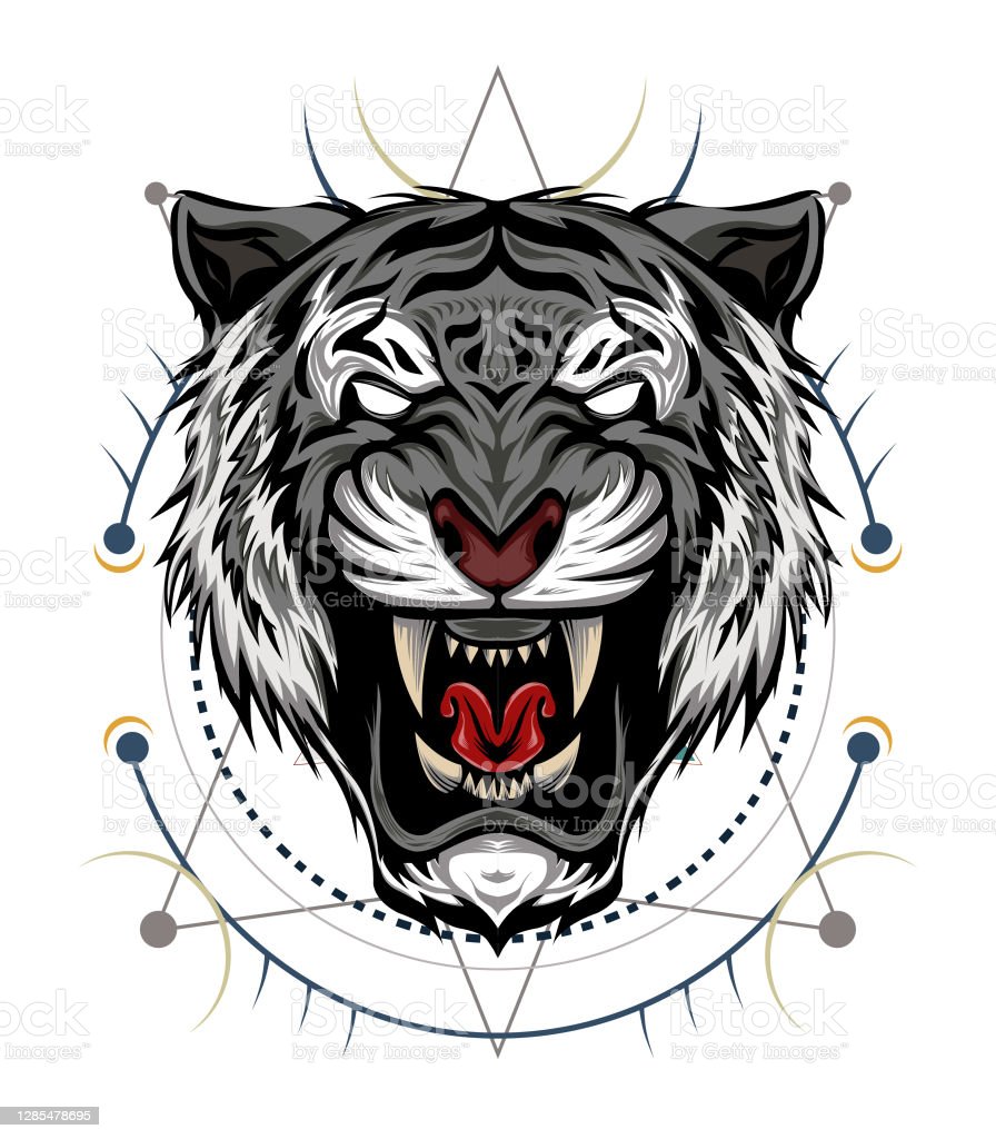 Detail Gambar Kepala Harimau Putih Nomer 49
