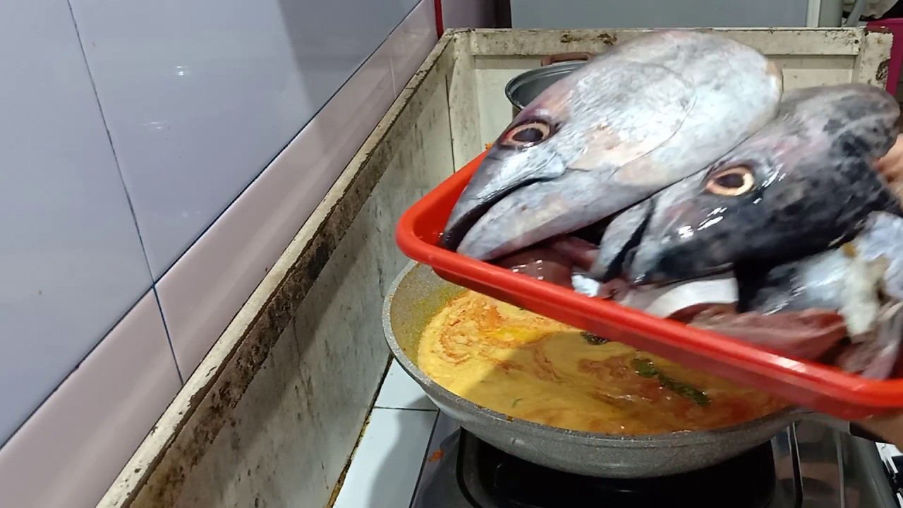 Detail Gambar Kepala Ikan Nomer 34