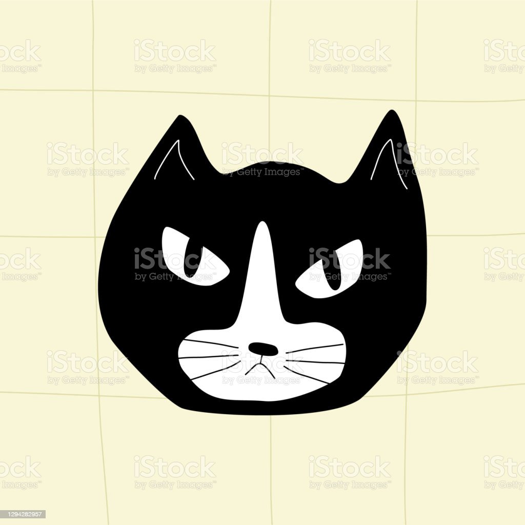 Gambar Kepala Kucing Hitam Putih - KibrisPDR