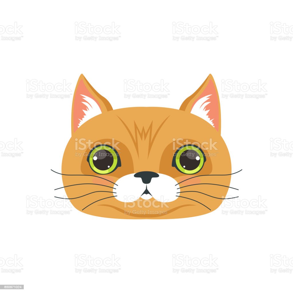 Detail Gambar Kepala Kucing Lucu Nomer 19