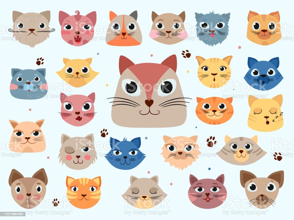 Detail Gambar Kepala Kucing Lucu Nomer 23