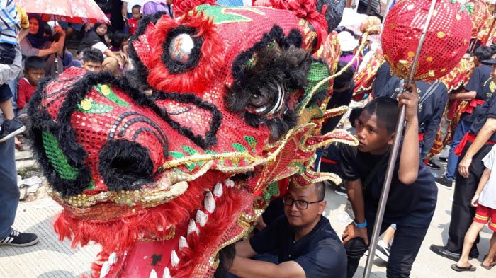 Detail Gambar Kepala Naga Barongsai Nomer 30